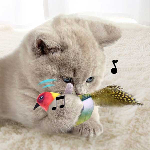 71w6pL19VpL._AC_SL1500_